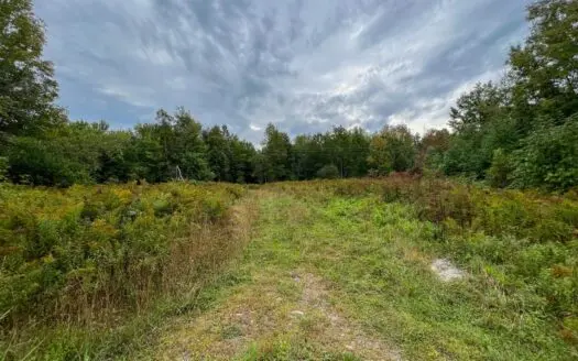 Country Homesite for Sale