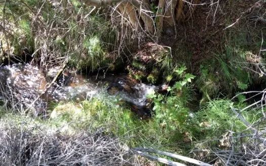 Nevada Residential Mountain Land for Sale Esmeralda County