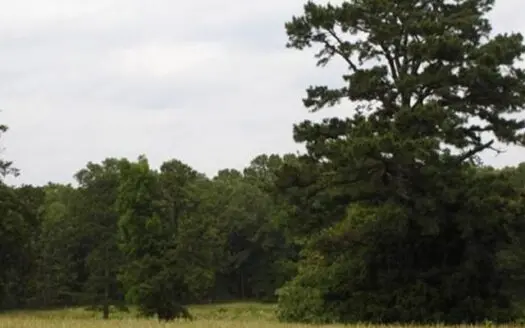 Ideal Location – Land for Sale in West Plains City Limits