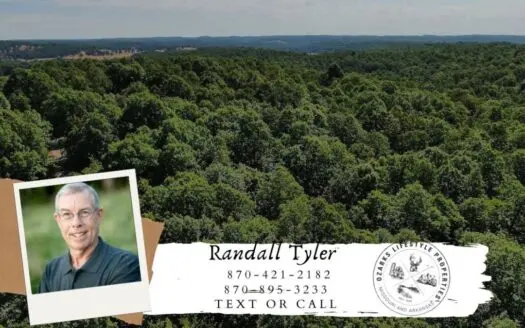 Ozarks Wooded Acreage for Sale Near Salem Arkansas