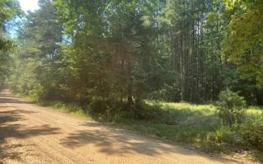 Beech Creek Timberland for Sale Near Stephens, Ar!!