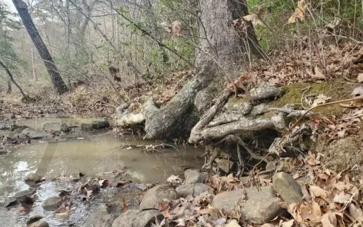 40 Acres Of Prime Hunting Land North Pushmataha County