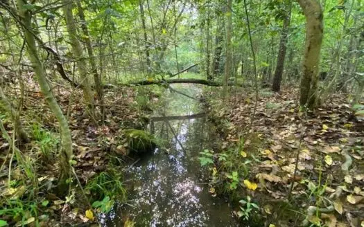 Ivy Hill Recreational Tract in Southern Va