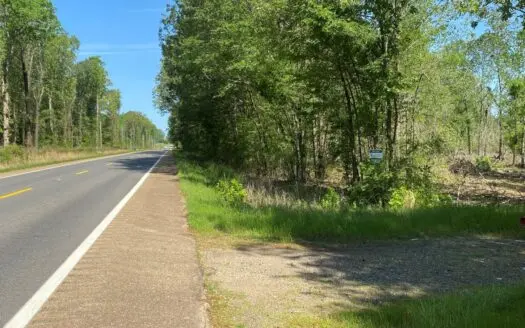 Natural Pine Timberland for Sale Near Junction City, Ar