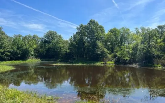 Hunt, Fish, or Ride – 61 Acres with Ponds and Food Plots