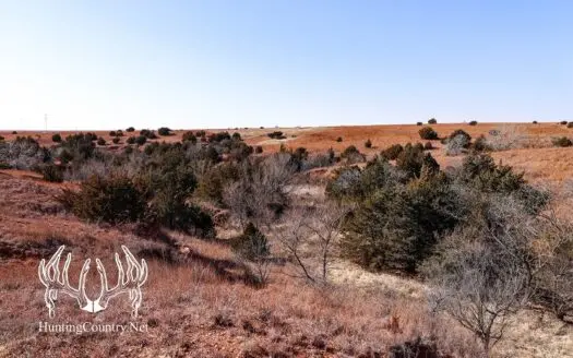 314 Acres M/l. Hunting and Grazing Land for Sale