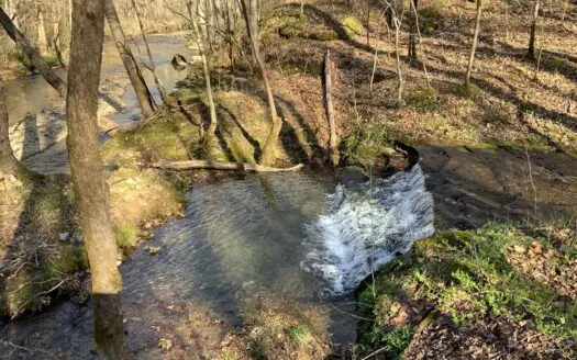 Country Home for Sale in Lewis County, Tennessee