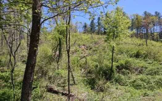 Land for Sale in Floyd Va