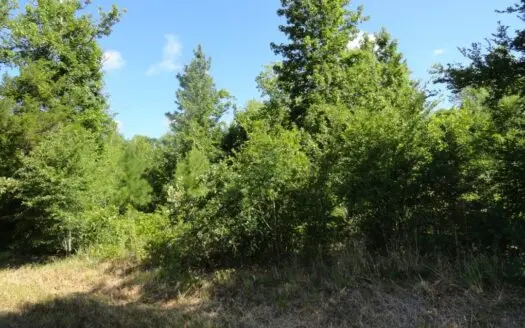 East Texas Lands for Sale