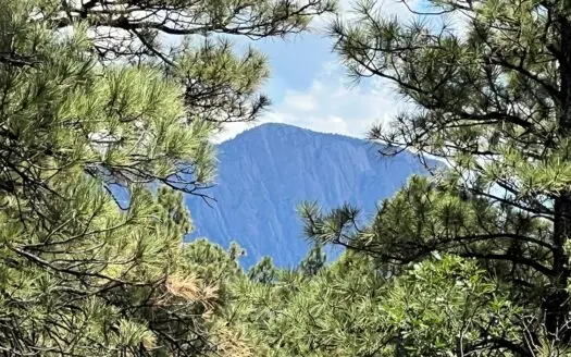 Mountain Property for Sale Near Lakes