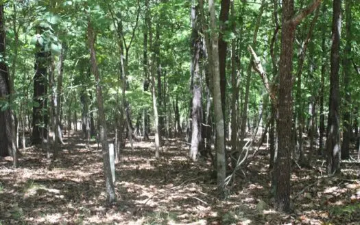 4 Adjoining Lots on Bull Shoals Lake in Gated Community