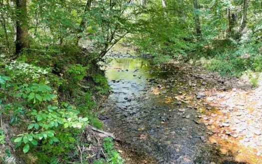 Land for Sale in Mt. Pleasant, Arkansas