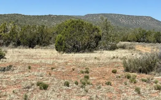 Recreational Property – Great Hunting – Owner Financing