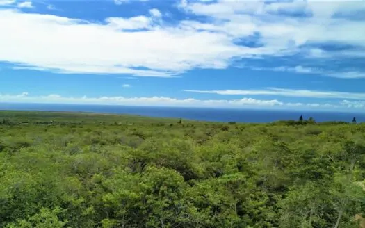 Amazing Ocean View Property Nestled in Tropical Hawaii