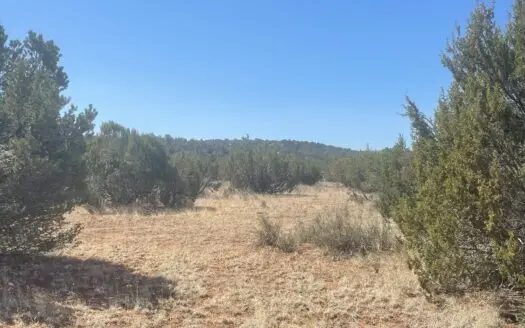 Great Hunting – Recreational Property – Owner Financing