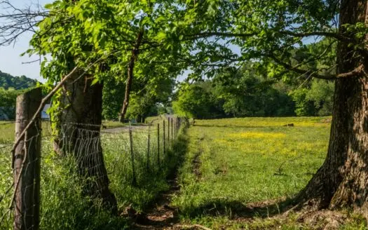 Land for Sale in Pulaski Tn Near Nashville Tn and Huntsville