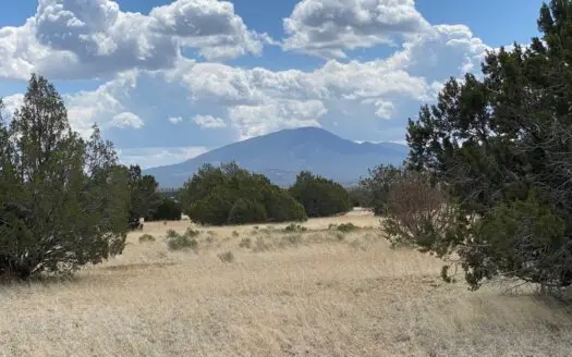 Williams Az Lot for Sale in Spring Flower Ranch