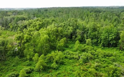 Hunting Recreational Timber Land for Sale East Tx Smith Co