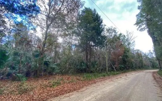 Beautiful Land in Inglis Florida!