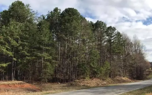 6 Acres Of Wooded Acreage in Southern Va