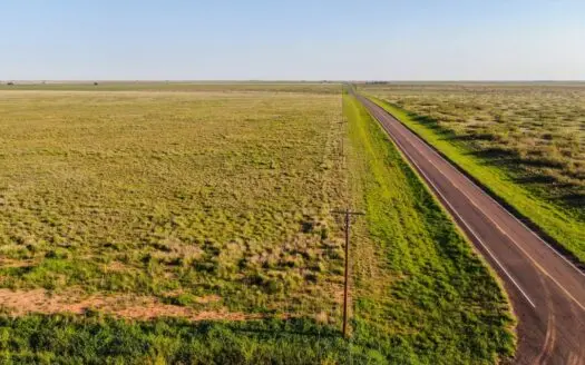 Bailey County Safe Crp Tract on the Texas South Plains