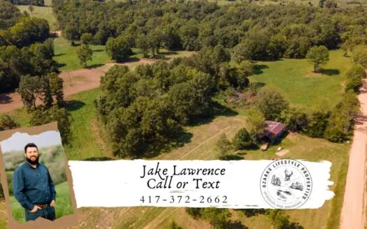 Vacant Land for Sale in the Ozark Hills