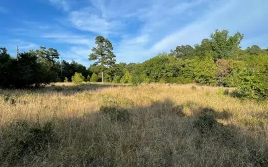 Pastureland, Creek, Pond, Mature Trees, Near Broken Bow Lake