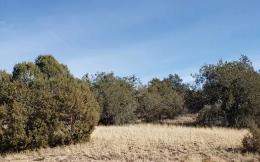 Owner Financing for Mountain Land in Seligman Az