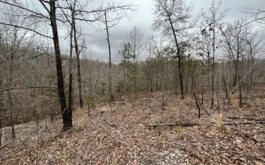 Arkansas Mountain Recreational/hunting Property for Sale