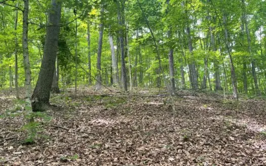 Ross County Ohio Land for Sale
