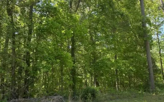 Land for Sale Lincoln County Brookhaven Mississippi