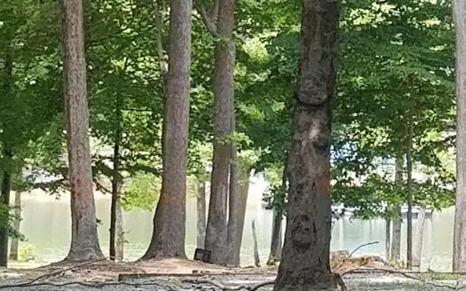 Waterfront Community Lot with Views on Kerr Lake, Va