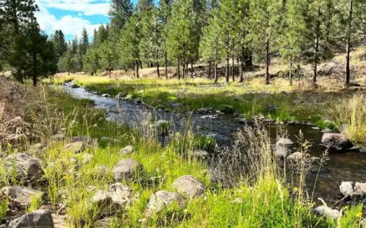 Cal Pines Running Water