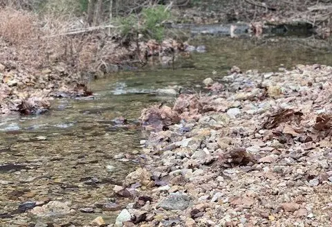 Arkansas Hunting Land for Sale