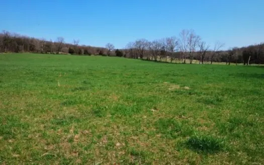 160+/- Acres Land for Sale in Gasconade Co., Missouri!