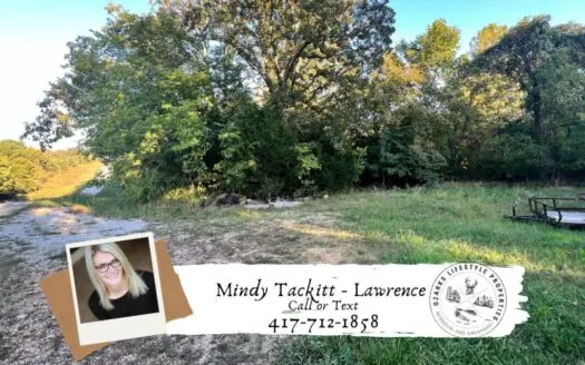Ozarks Acreage for Sale Near Thayer, Mo