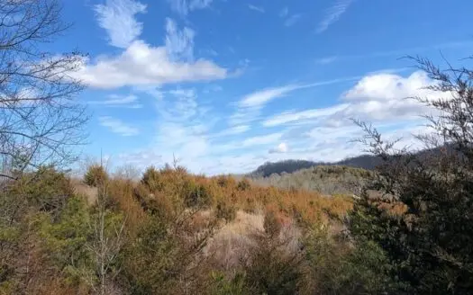 84 Acres Of Gently Rolling Land for Sale in Greene Co., Tn