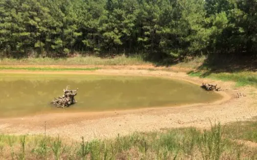 Cherokee County Texas Lands for Sale