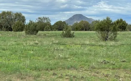 Build Off-grid – Ez Access Close to Town – 10 Acres  Lot 12c