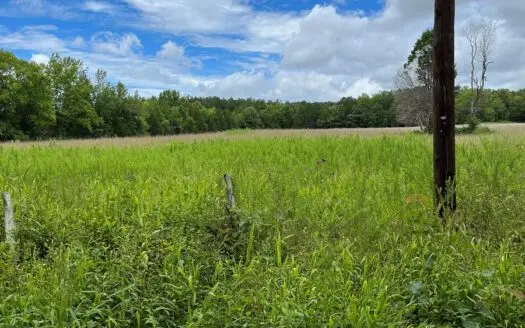 Wayne County Missouri Farm for Sale