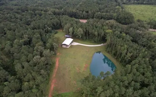 Turnkey Hunting Land for Sale Wilkinson County Ms