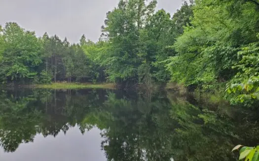 22 Acres with Pond and Trees in Antlers Oklahoma for Sale!!