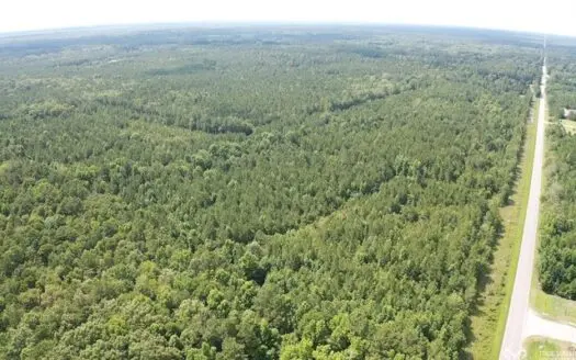 Hardeeville Multi-use Development Tract