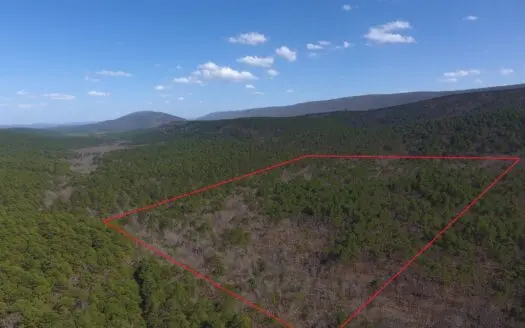 Spring Mountain Recreational Property Surrounded by National