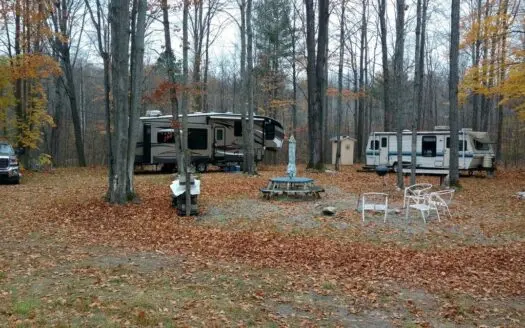 Acreage for Sale Atlanta Mi Montmorency County Mi 10-acres