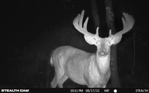 Hunting Camp with Land for Sale in Adams County, Wisconsin