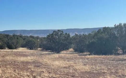 Owner Financing — 2 Usable Acres — Awesome Views