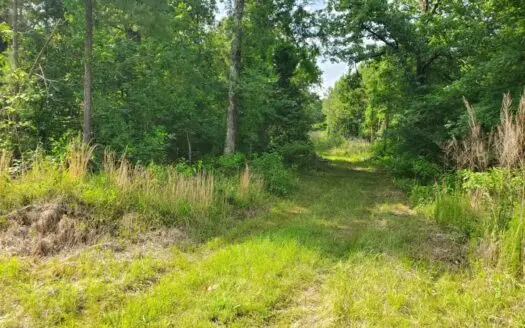 40 Acre Homesite Hunting Property for Sale in Antlers