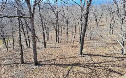 Secluded Wooded Recreational Land for Sale in Benton County