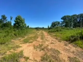 Hunting Land for Sale Copiah County Hazlehurst Mississippi
